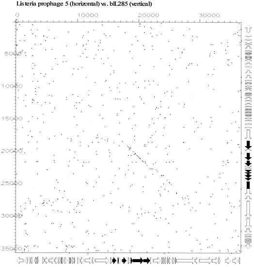 FIG. 7.