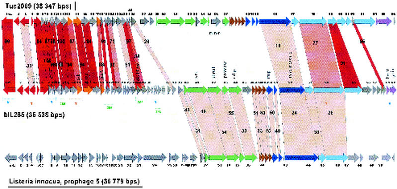 FIG. 6.