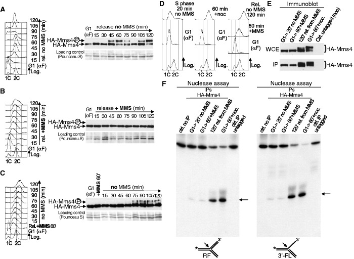 Figure 4.