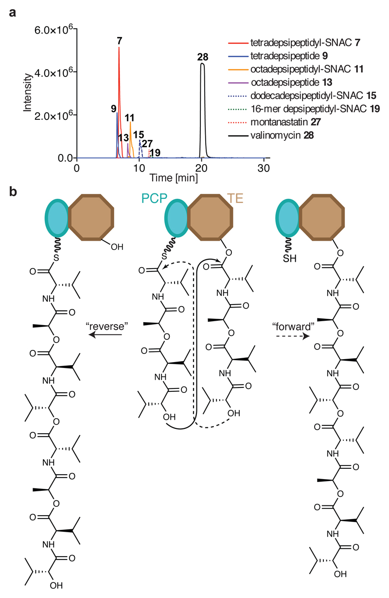 Fig. 3