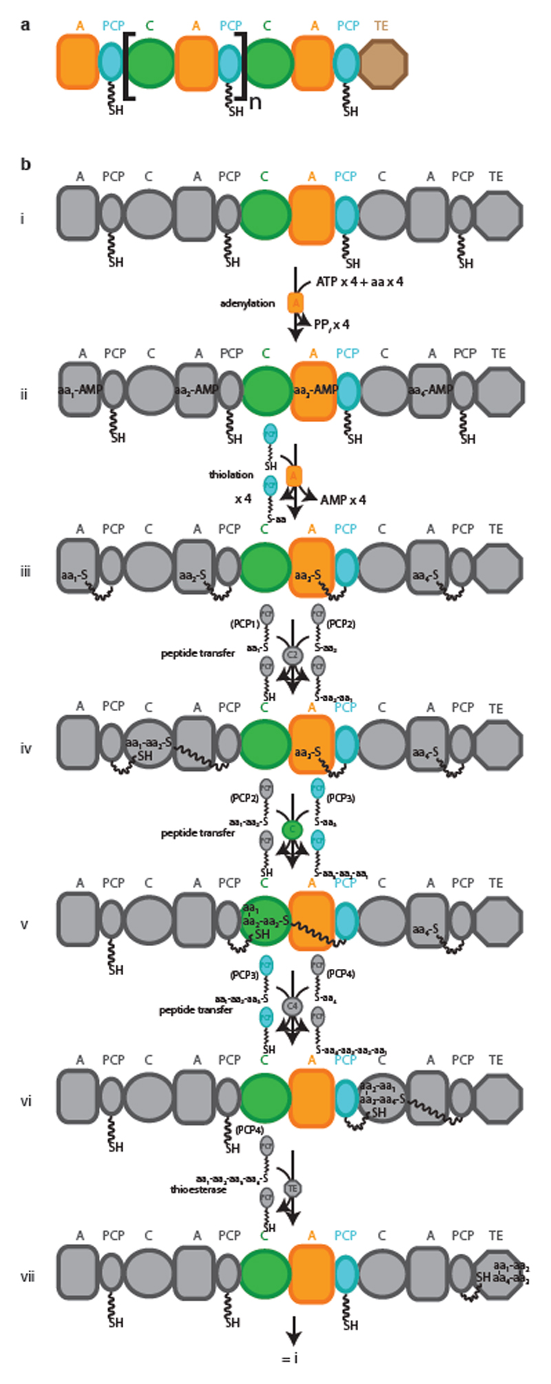 Extended Data Fig. 1