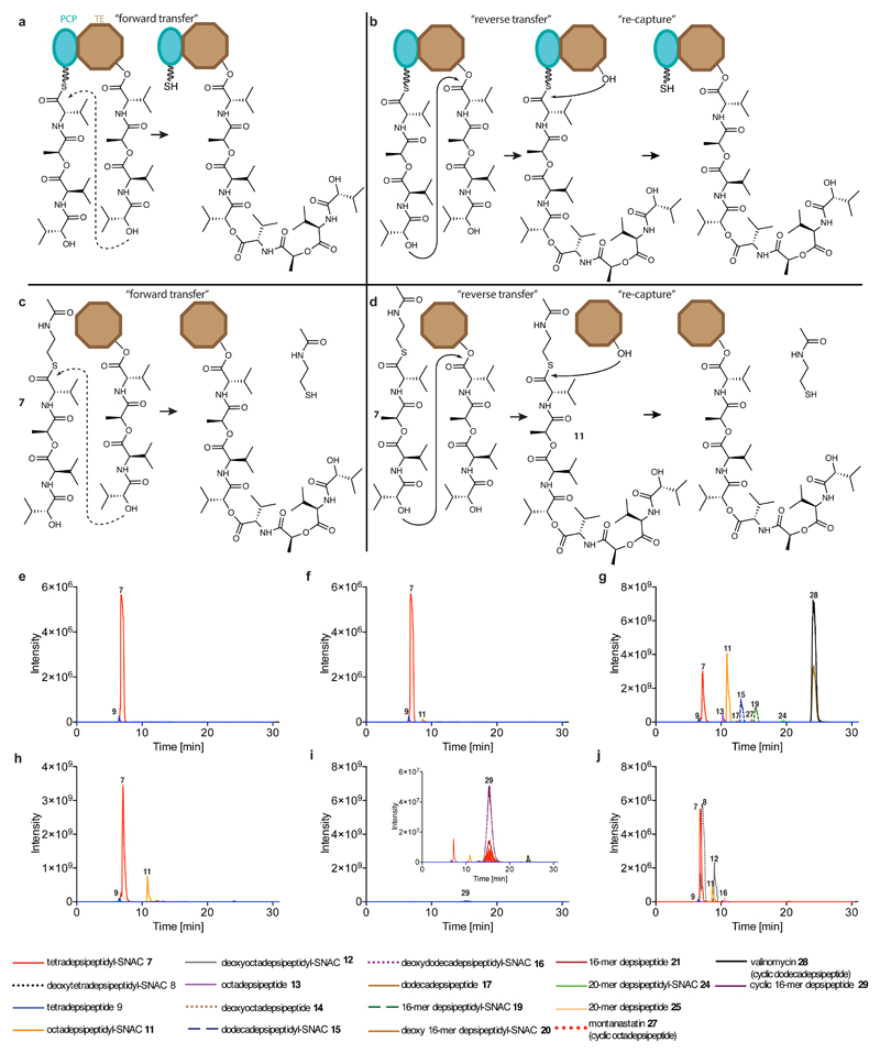 Extended Data Fig. 5