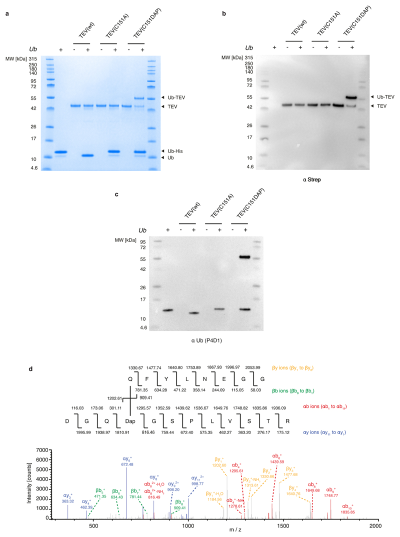 Extended Data Fig. 3