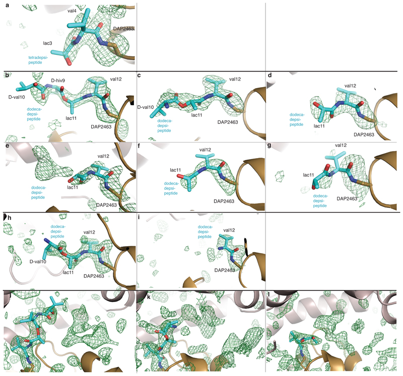 Extended Data Fig. 8