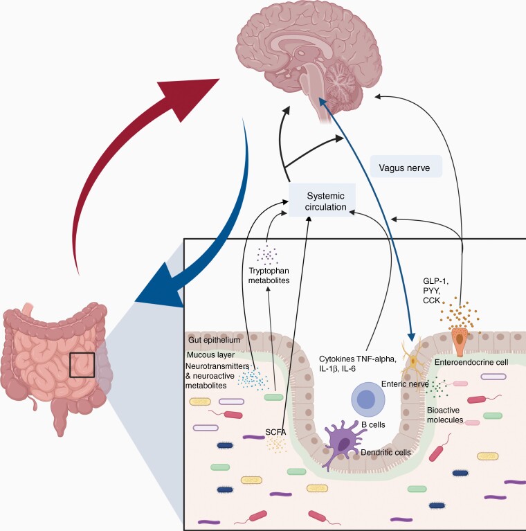 Figure 2.