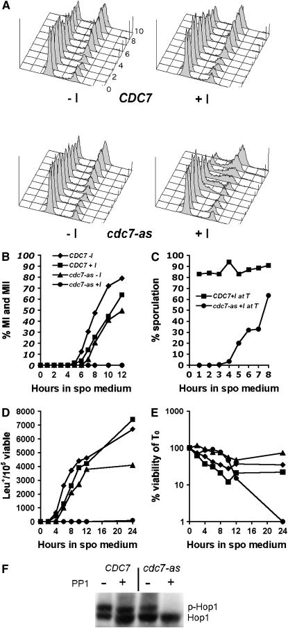 Figure 2.—