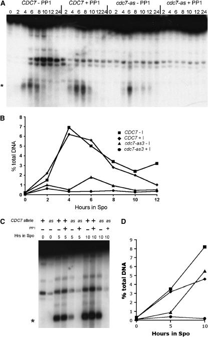 Figure 3.—