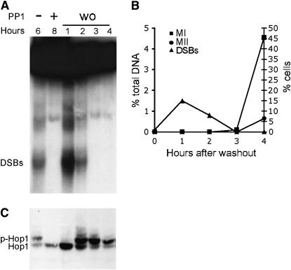 Figure 4.—