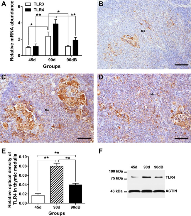 Fig 8