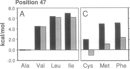 graphic file with name pnas01055-0125-b.jpg