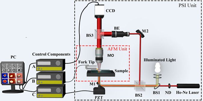 Figure 1