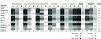 Figure 5 is a heatmap plotting Health effect category, including Cancer; Cardiovascular; Developmental’ Endocrine; Hepatic; Immune; Metabolic; Nervous; Other; Reproductive, female; Reproductive, male; Respiratory; Urinary; and Grand total (y-axis) across participant selection, exposure measurement, outcome ascertainment, confounding, analysis, sensitivity, selective reporting, overall study confidence, and grand total (x-axis) for good or adequate, deficient, critically deficient, high or medium, low, and uninformative.
