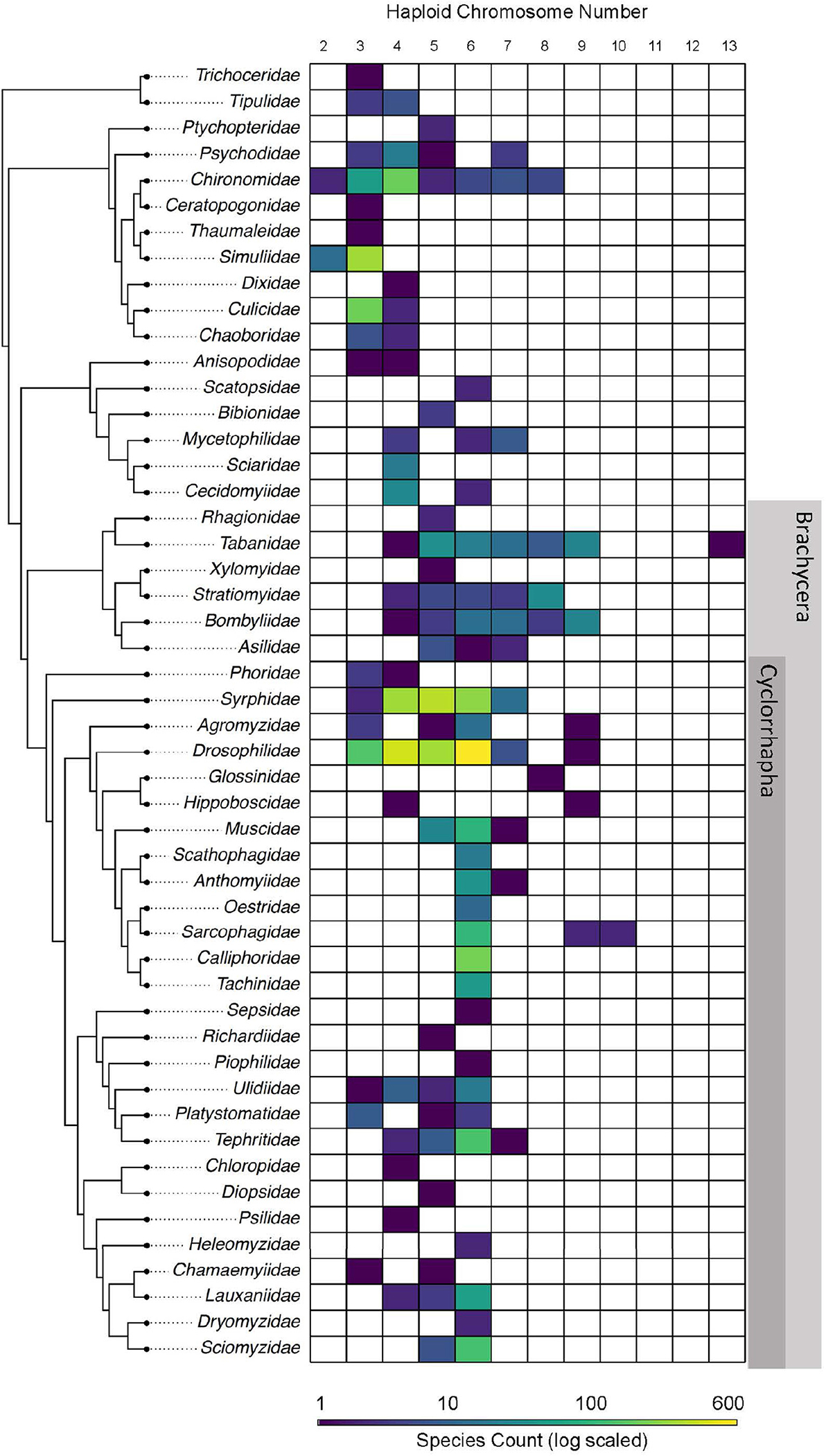 FIGURE 1 |