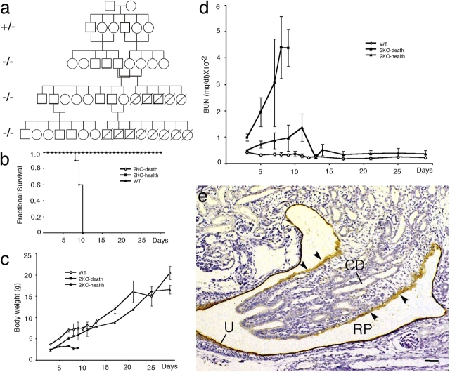 Figure 10.