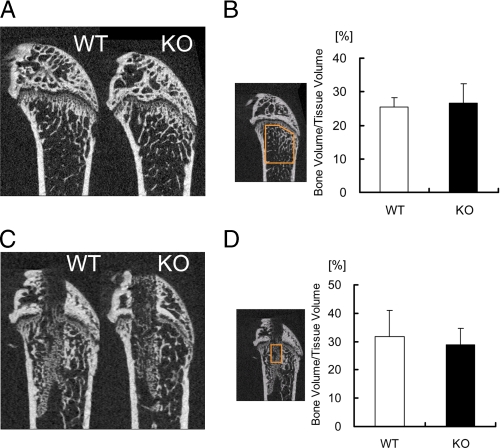 FIGURE 10.