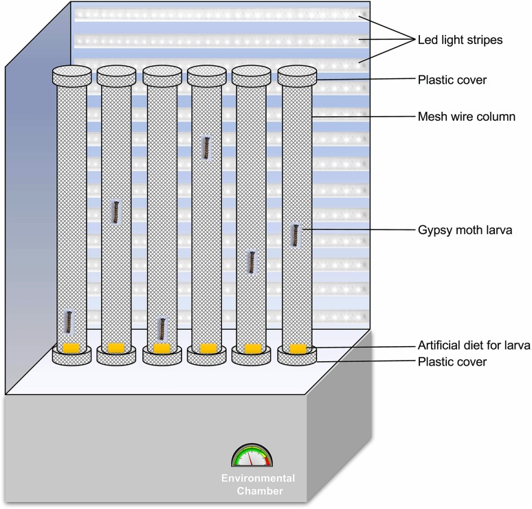 Fig. 1