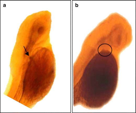 Fig. 3