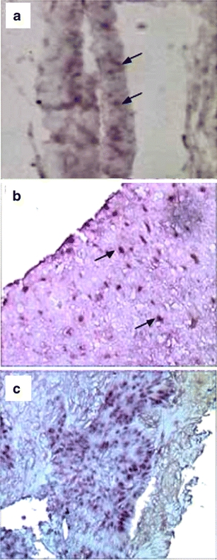 Fig. 4