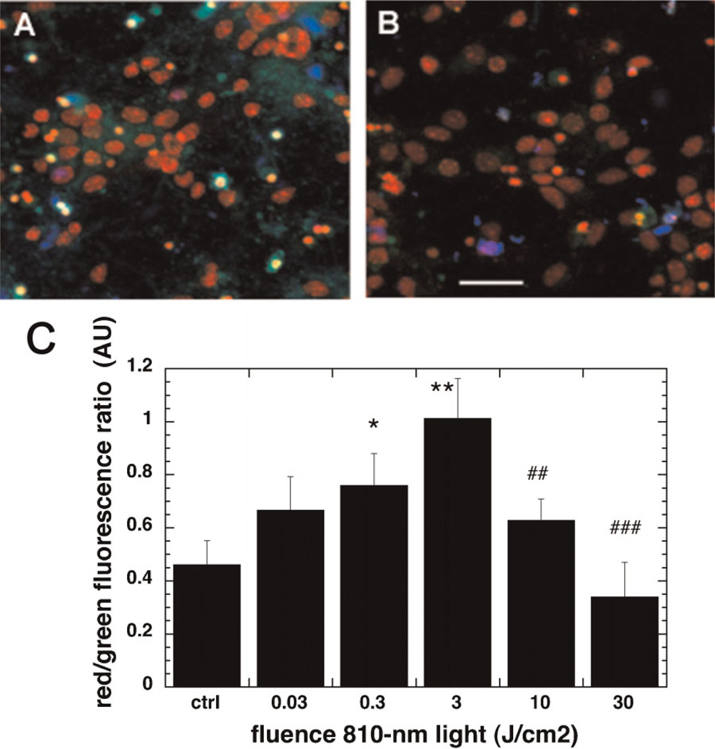 Fig. 3