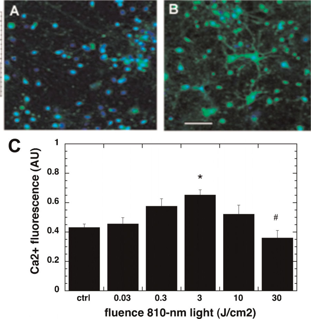 Fig. 4