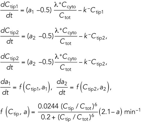 graphic file with name mbc-32-ar14-e022.jpg