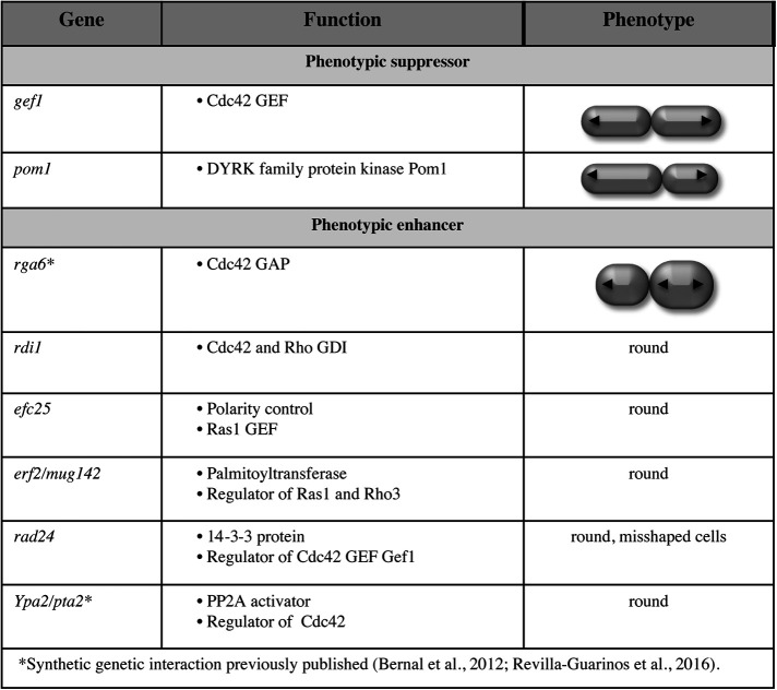 FIGURE 4: