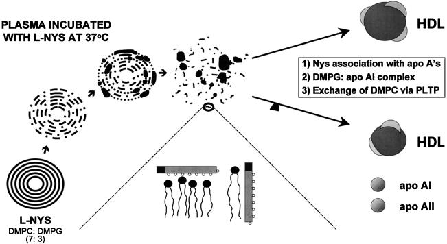 FIG. 4