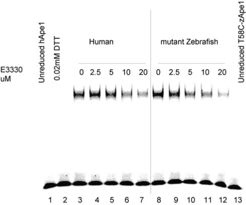 FIG. 8.