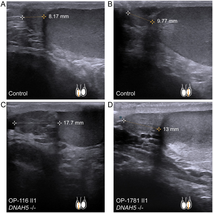 Figure 6.