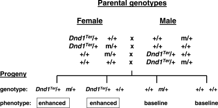 Figure 3.