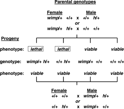 Figure 1.