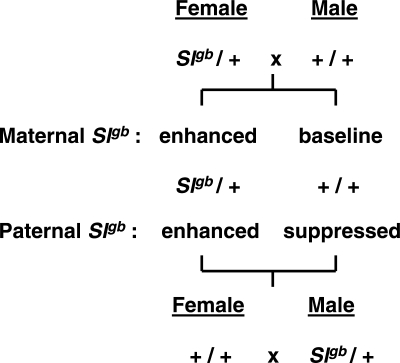 Figure 4.