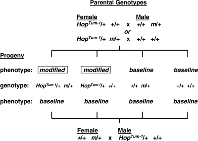 Figure 2.