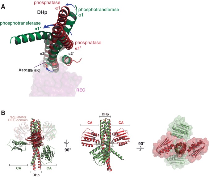 Figure 3—figure supplement 1.