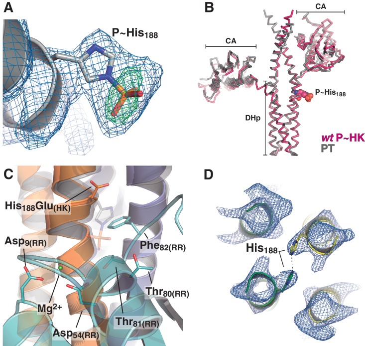 Figure 4—figure supplement 1.