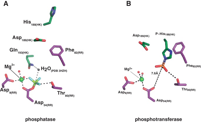 Figure 4—figure supplement 2.