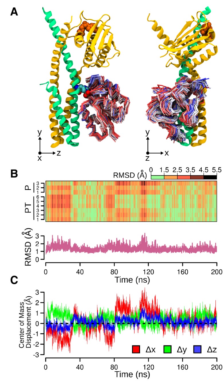 Figure 2—figure supplement 2.