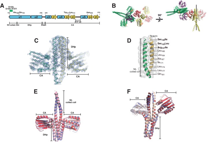 Figure 1—figure supplement 1.