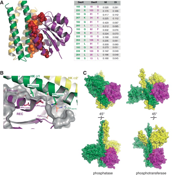 Figure 2—figure supplement 1.