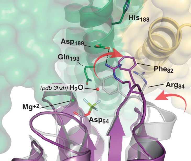 Figure 4—figure supplement 3.