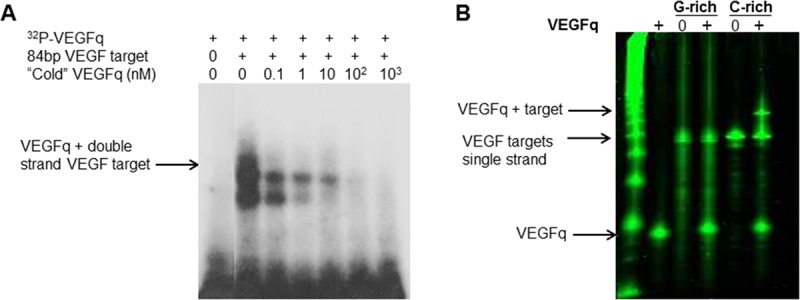 Fig 9