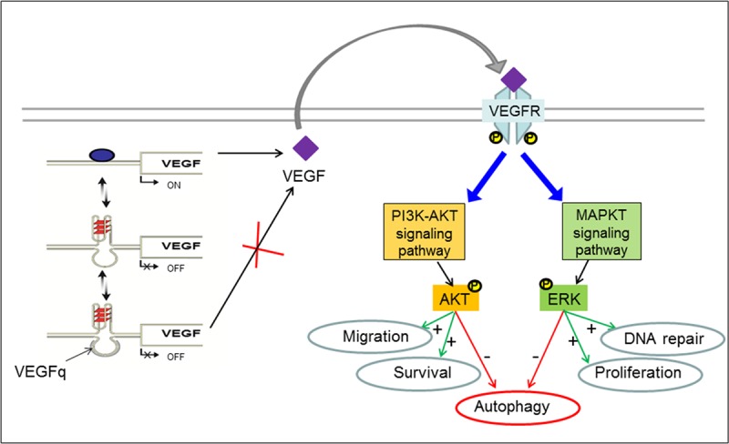 Fig 10