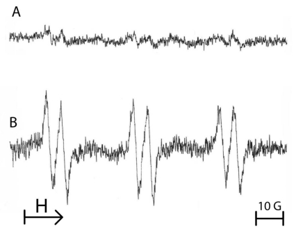 Fig. (2)