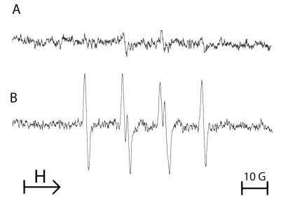 Fig. (3)