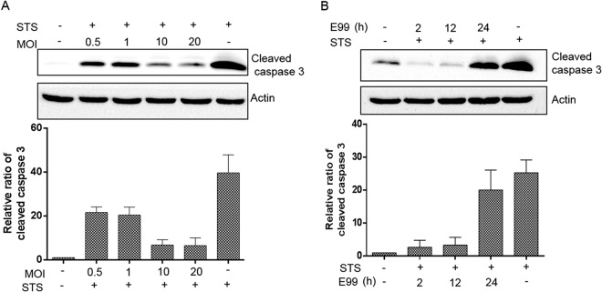 FIG 4