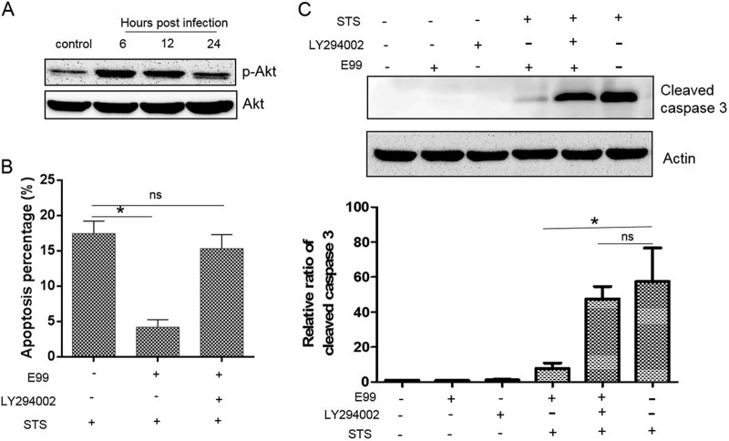 FIG 6