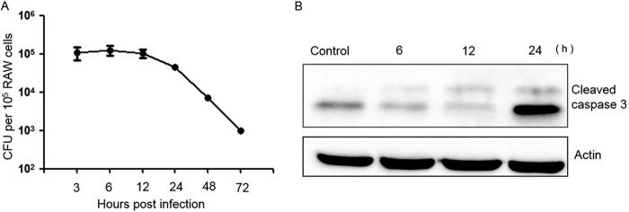 FIG 1