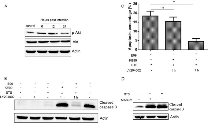 FIG 7