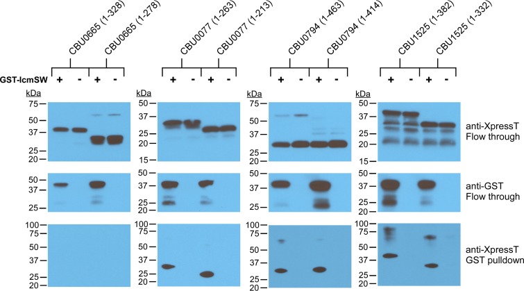 FIG 6