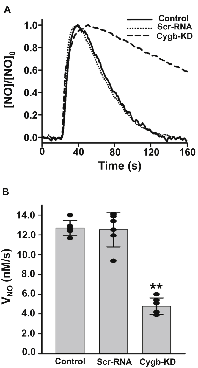 Figure 4